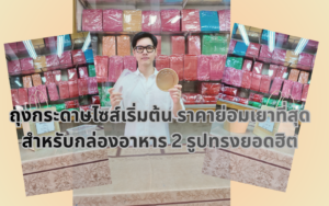 ถุงกระดาษไซส์เริ่มต้นราคาย่อมเยา สำหรับกล่องอาหารทรงเหลี่ยมและทรงกลม